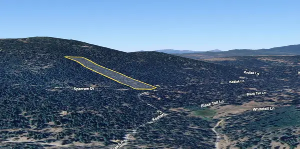 Nka Kodiak, Bonanza, OR 97623