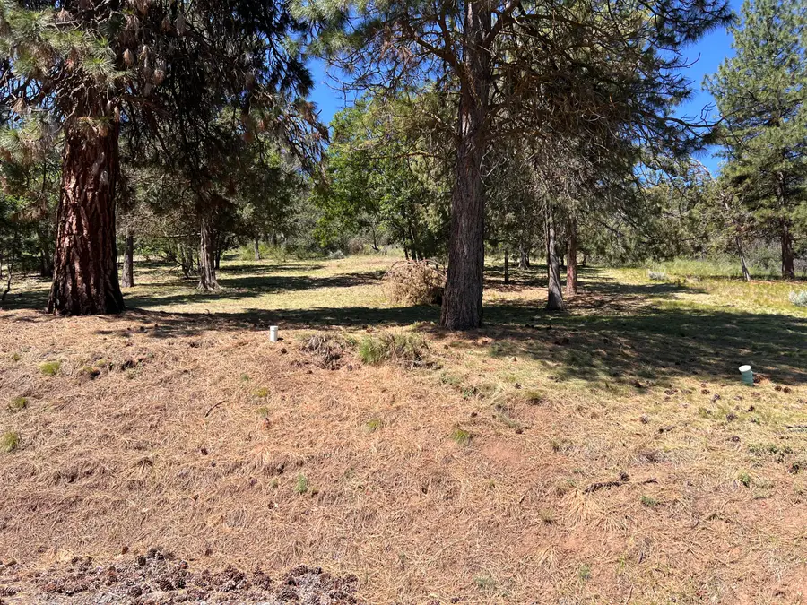 Kestrel, Klamath Falls, OR 97601 - Image #2