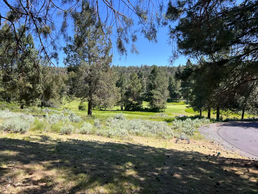 Kestrel, Klamath Falls, OR 97601 - Image #3