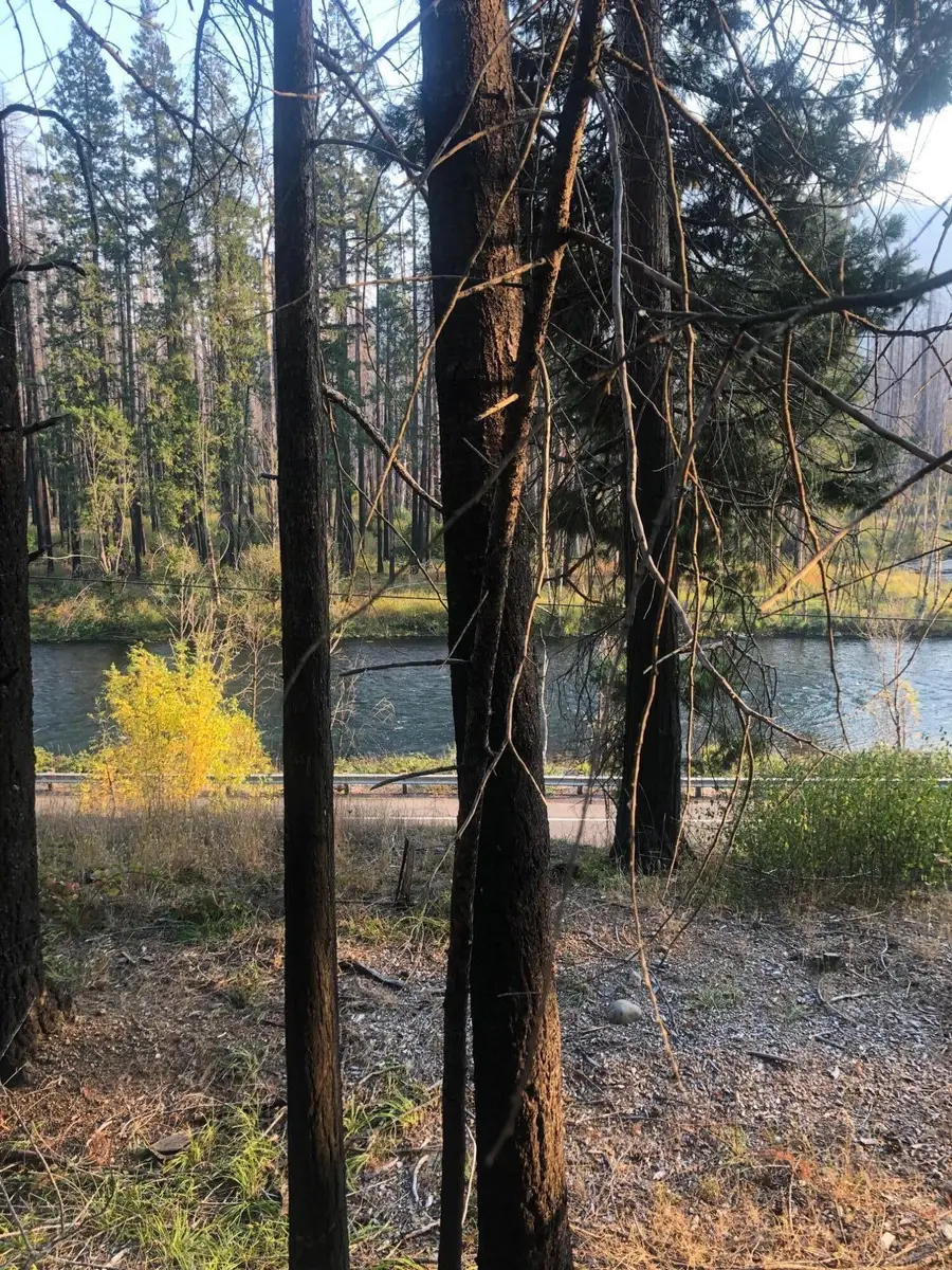 91591 Blue River Reservoir, Blue River, OR 97413 - Image #3