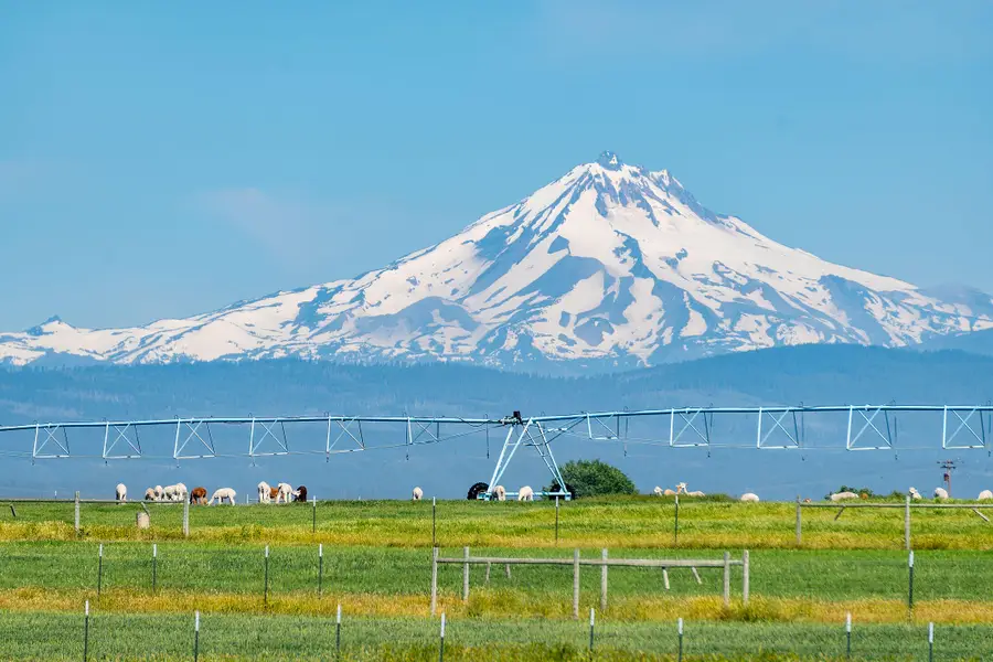 12444 SW Green, Culver, OR 97734 - Image #3