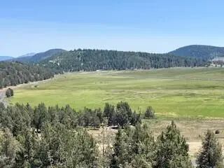 Fox Sparrow #Lot  1211, Klamath Falls, OR 97601 - #2