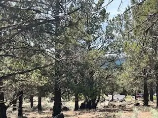 Fox Sparrow #Lot  1211, Klamath Falls, OR 97601 - #3