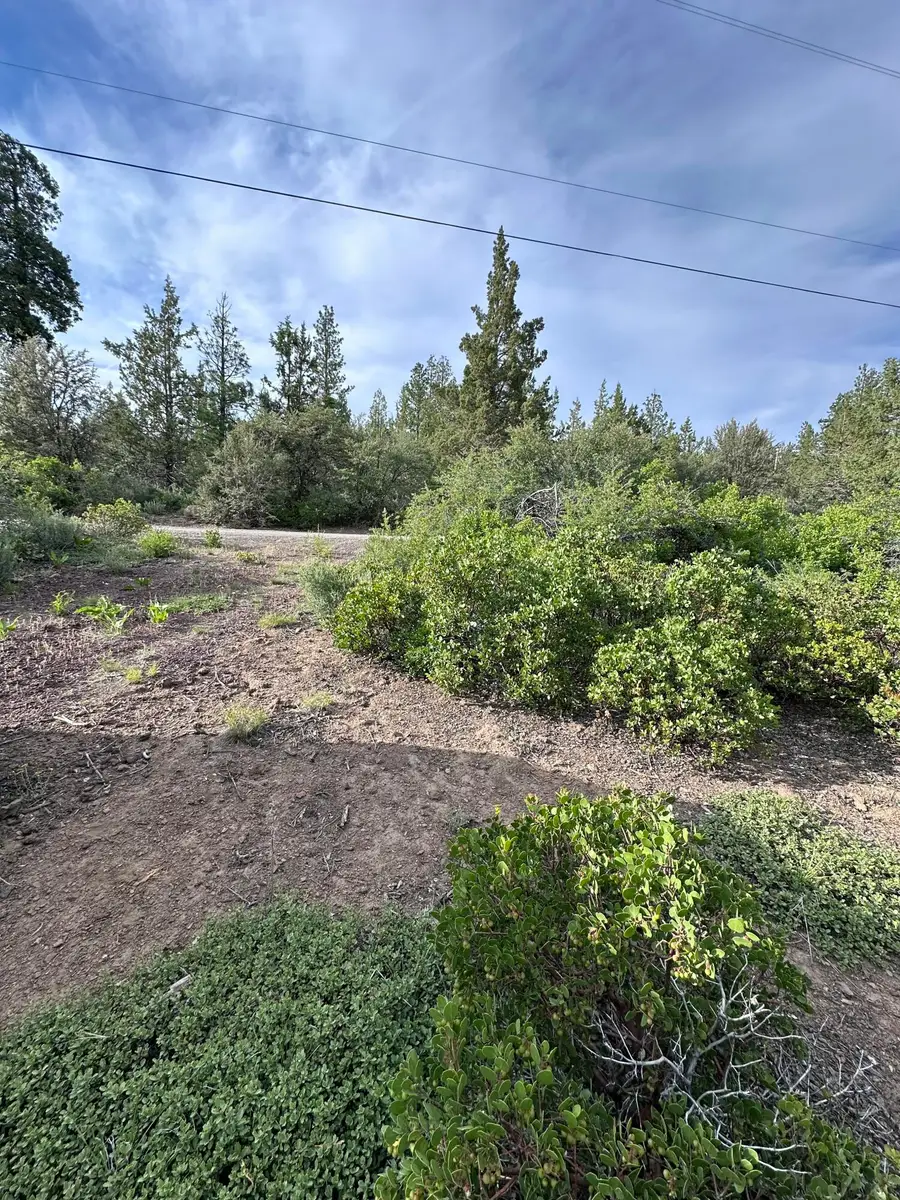 Porpoise, Bonanza, OR 97623 - Image #2