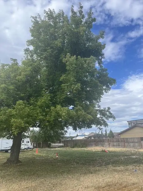 391 W 1st, Prineville, OR 97754 - Image #3