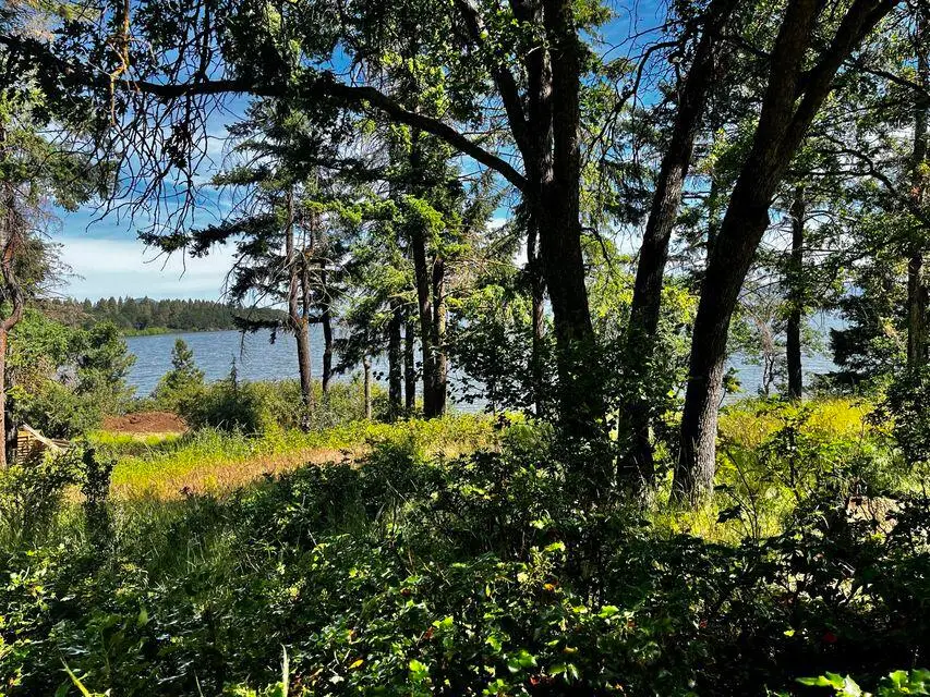 Dunlin, Klamath Falls, OR 97601 - Image #3
