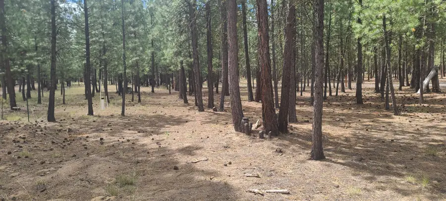 52328 Elderberry, La Pine, OR 97739 - Image #3