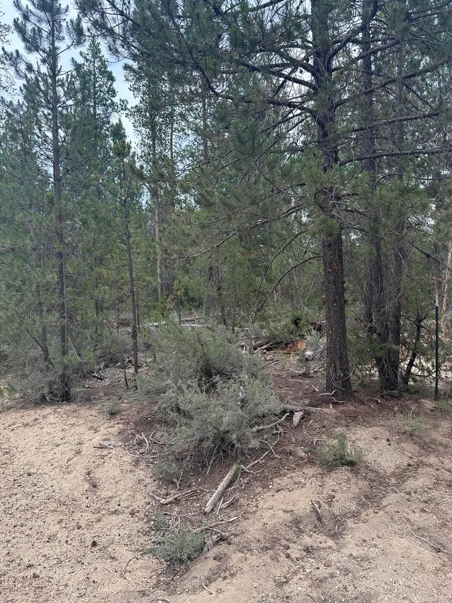 Kamloop Lane #LOT 14, Gilchrist, OR 97737 - Image #3