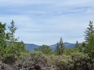 2093 Robertson Bridge, Grants Pass, OR 97526 - Image #3