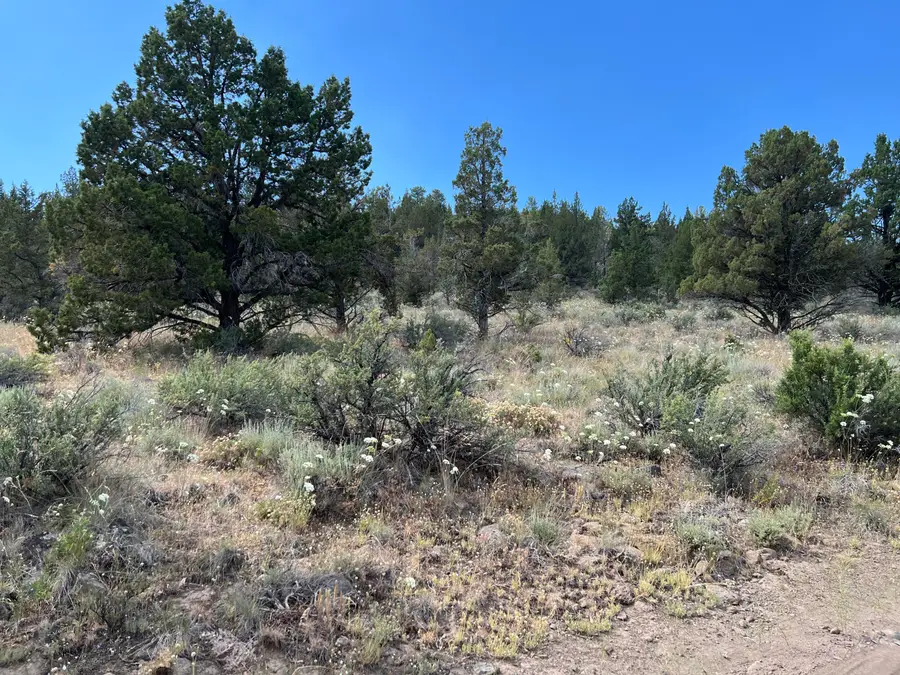 0 Tableland, Sprague River, OR 97639 - Image #2