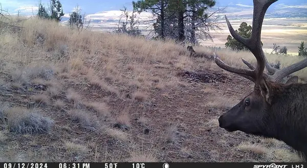 Fs Road 613, John Day, OR 97845