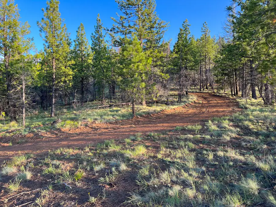 Fs Road 613, John Day, OR 97845 - Image #3