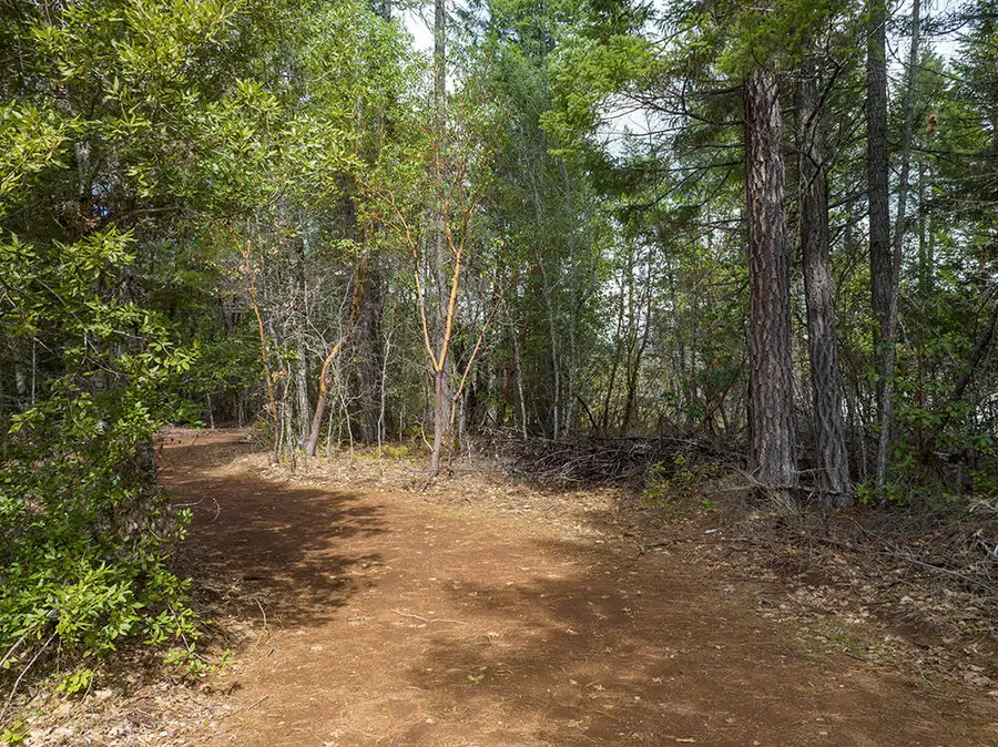 234 Lurline, Cave Junction, OR 97523 - Image #3