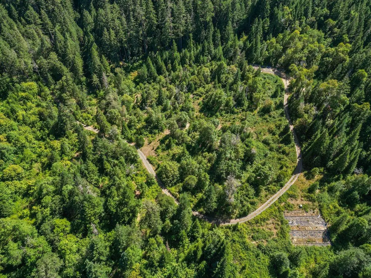 433 Old Stage Road, Wolf Creek, OR 97497 - Image #1