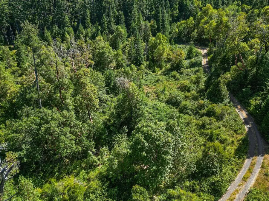 433 Old Stage Road, Wolf Creek, OR 97497 - Image #3