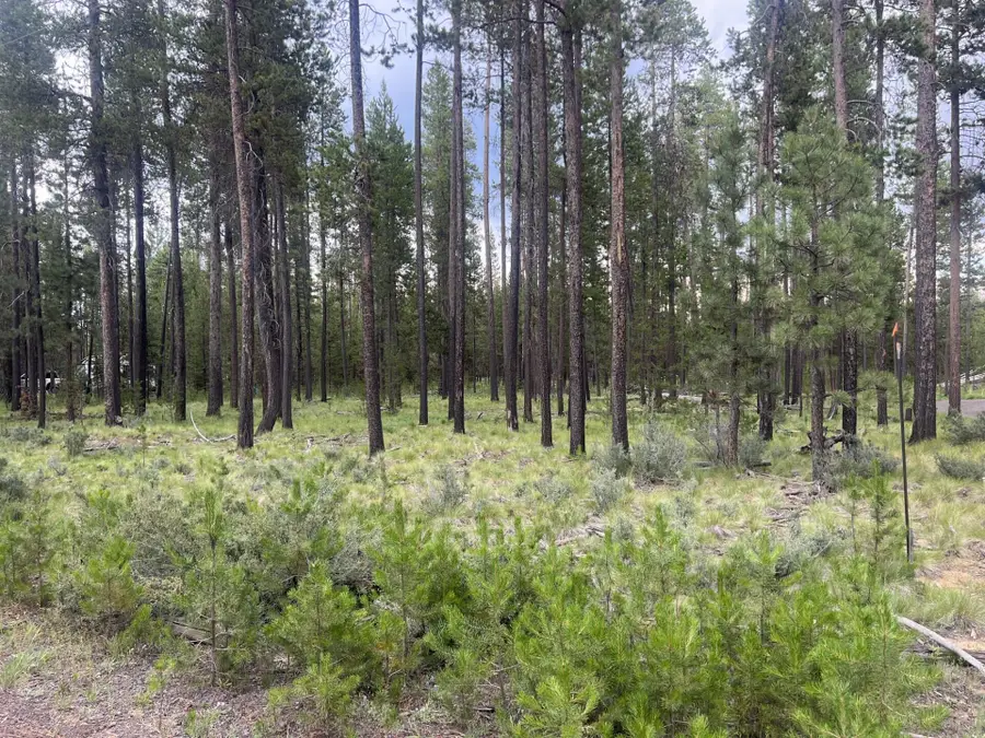 55970 Browning, Bend, OR 97707 - Image #3