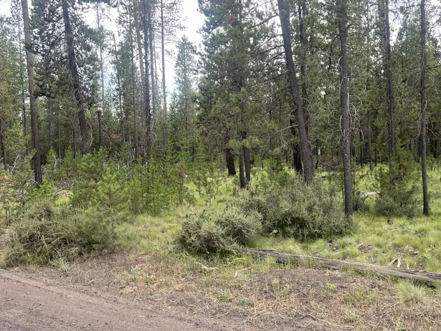 55975 Savage, Bend, OR 97707 - Image #2