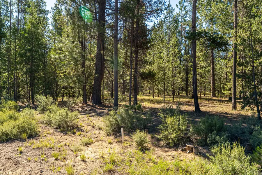 15685 Twin, La Pine, OR 97739 - Image #3