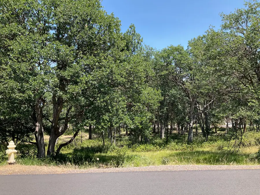 Coopers Hawk, Klamath Falls, OR 97601 - Image #3