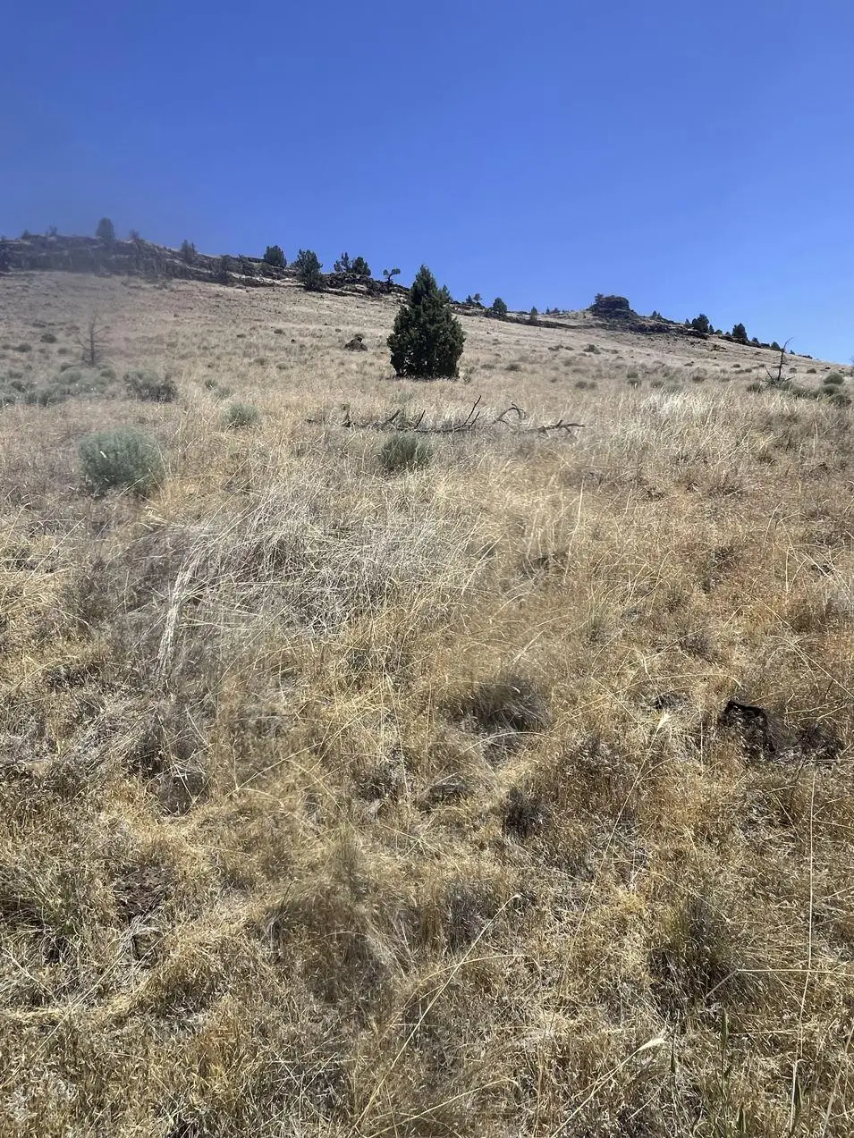 SE Hill Street #TL02400-11938, Prineville, OR 97754 - Image #1