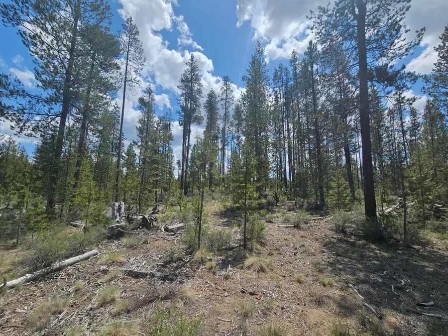 156468 Beal, La Pine, OR 97739 - Image #3