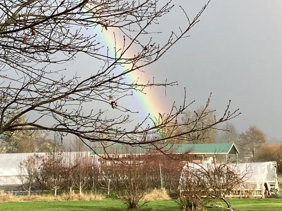 4441 Upper River, Grants Pass, OR 97526 - Image #3