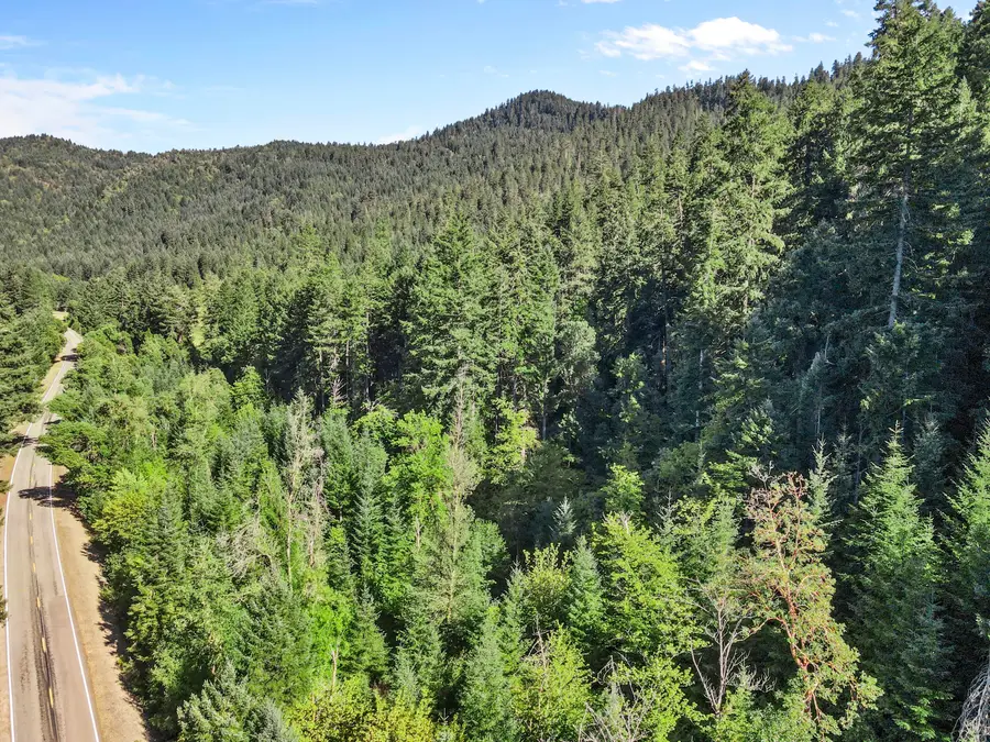 0 Mount Reuben Road, Glendale, OR 97442 - #3