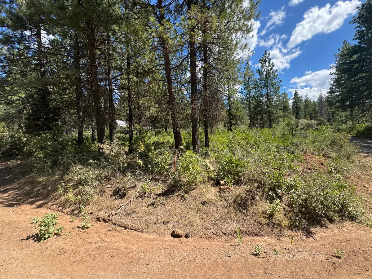 0 Grizzy Lane #9, Bonanza, OR 97623 - Image #1