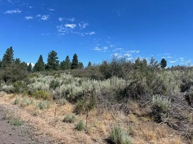 Wrightwood #Lot 16, Chiloquin, OR 97624 - Image #2