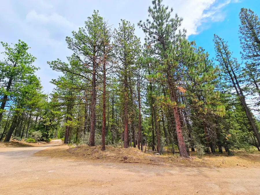 13559 Sparrow, Bonanza, OR 97623 - Image #2