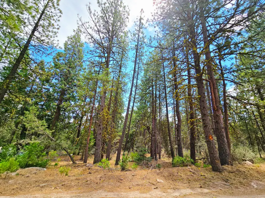 13559 Sparrow, Bonanza, OR 97623 - Image #3