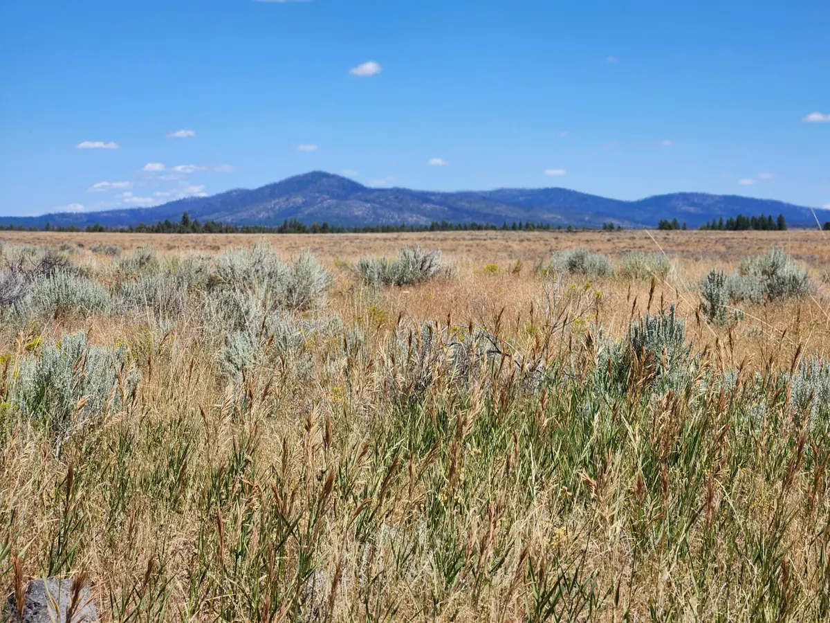 Oregon Pines Lot 2000, Sprague River, OR 97639 - #1