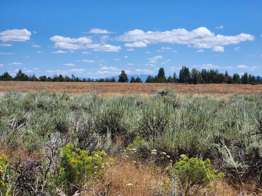 Oregon Pines Lot 2000, Sprague River, OR 97639 - #2