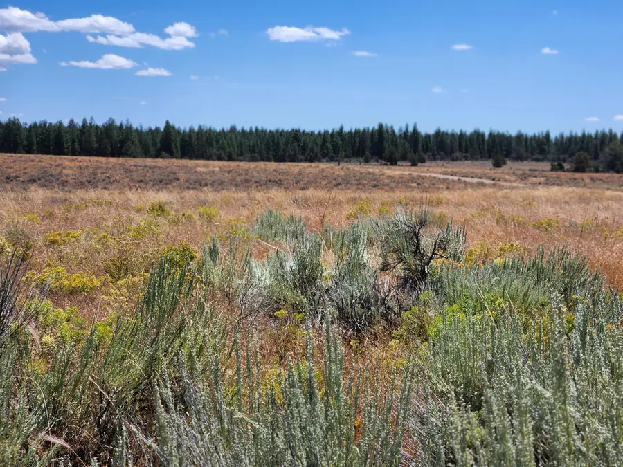Oregon Pines Lot 2000, Sprague River, OR 97639 - #3