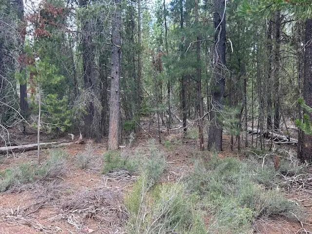 400 Hwy 58, Crescent Lake, OR 97733 - Image #1