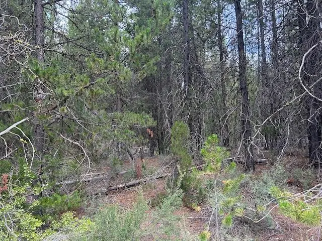 400 Hwy 58, Crescent Lake, OR 97733 - Image #2