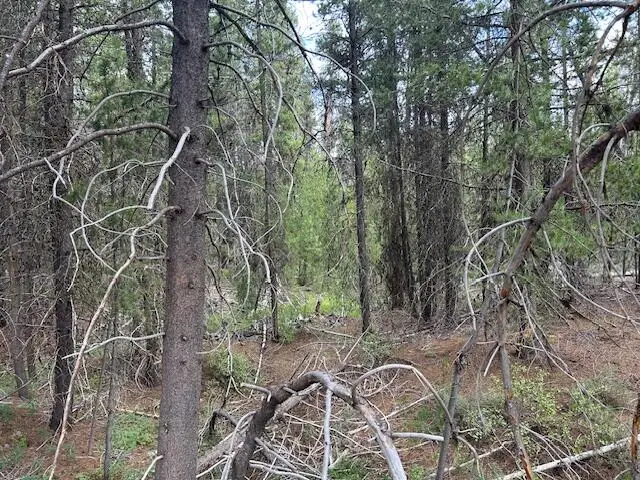 400 Hwy 58, Crescent Lake, OR 97733 - Image #3