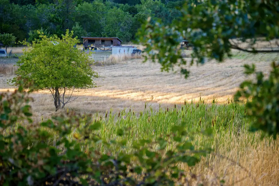 NW Scenic, Grants Pass, OR 97526 - Image #2