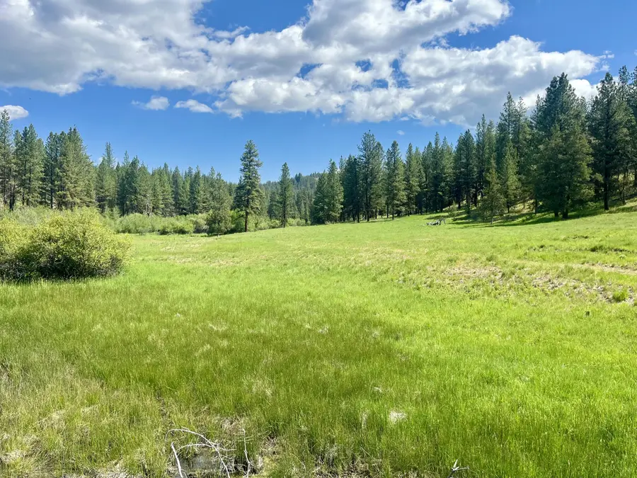 Usfs 36 Road, Mount Vernon, OR 97865 - Image #2