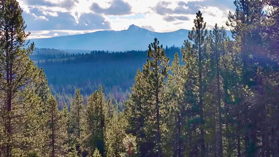 28 Emerald Meadows, Crescent Lake, OR 97733 - Image #2