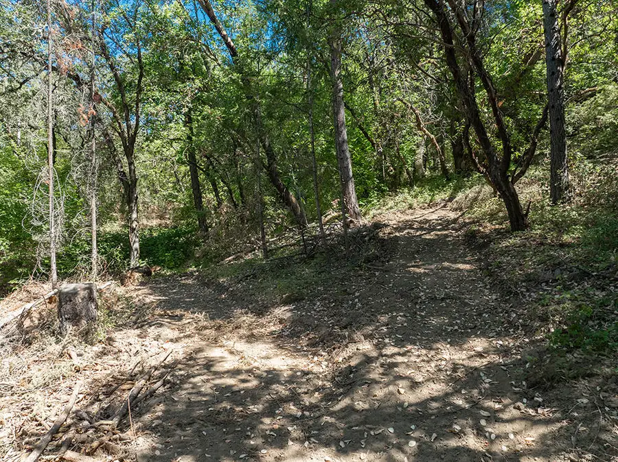 7827 Rogue River Highway, Grants Pass, OR 97527 - Image #3