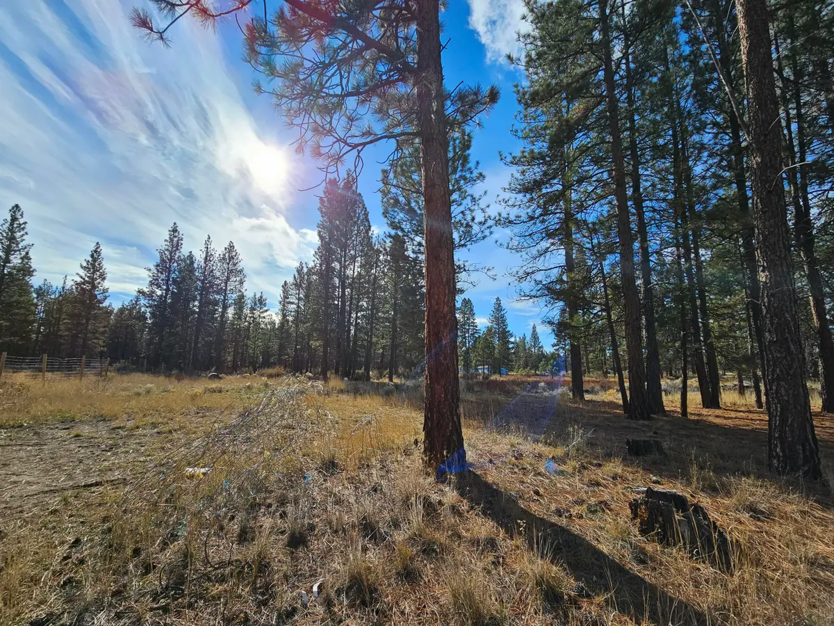 5117 Seagull Drive, Bonanza, OR 97623 - #1