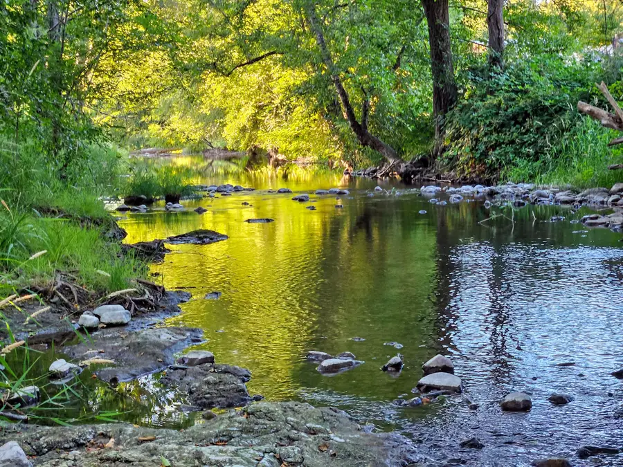 149 Beaver Lane, Canyonville, OR 97417 - #2