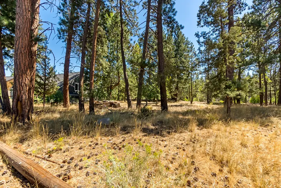 380 S Timber Creek, Sisters, OR 97759 - Image #2