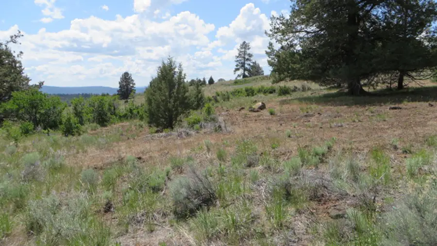 Best View Dr Tax Lot 1300, Klamath Falls, OR 97601 - Image #3