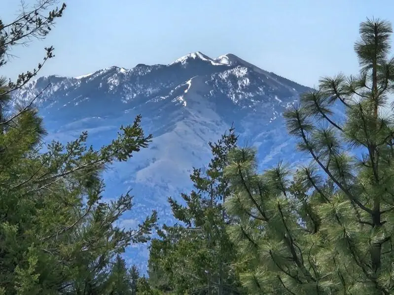 Marks Creek Road, Mount Vernon, OR 97865 - Image #1