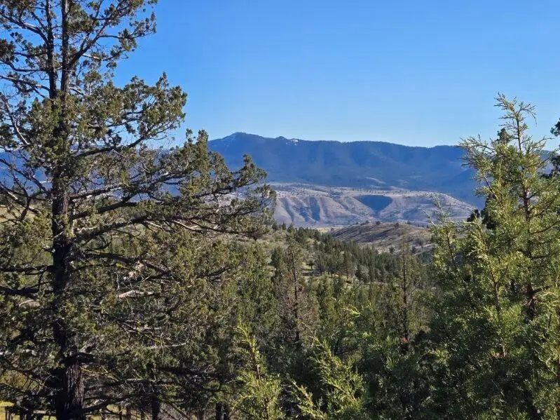 Marks Creek Road, Mount Vernon, OR 97865 - Image #2