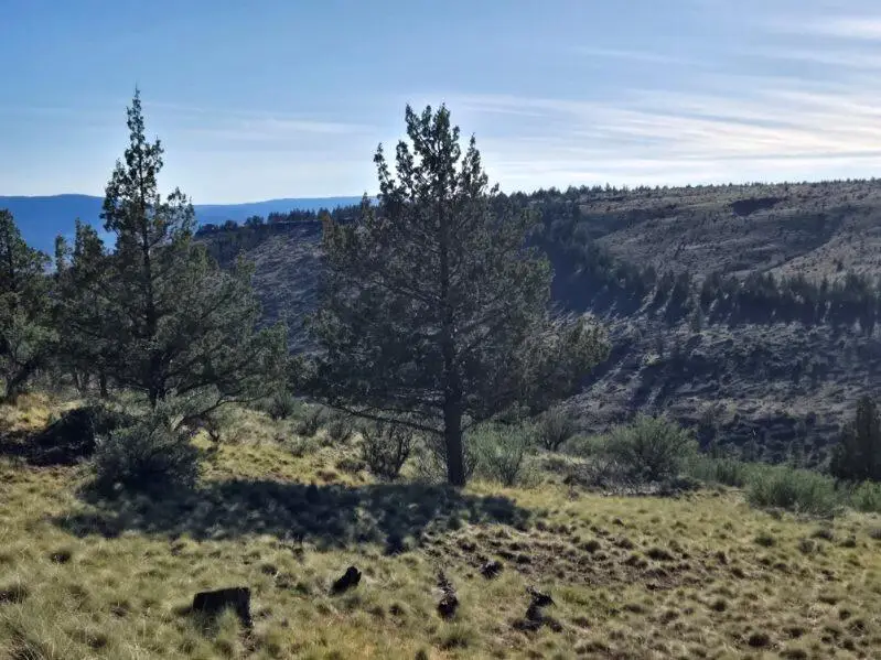 Marks Creek Road, Mount Vernon, OR 97865 - Image #3