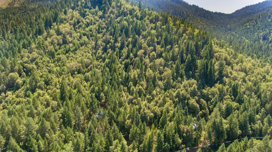 4889 Thompson Creek, Selma, OR 97538 - Image #2