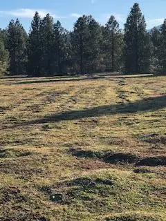 1105 Pine Grove, Rogue River, OR 97537 - Image #3